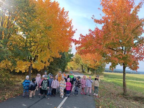 Výlet do Bezdružic