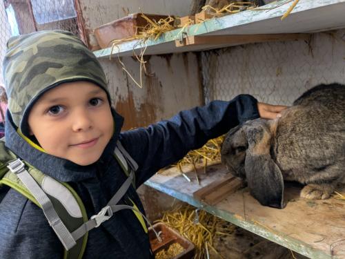 Chovatelská výstava