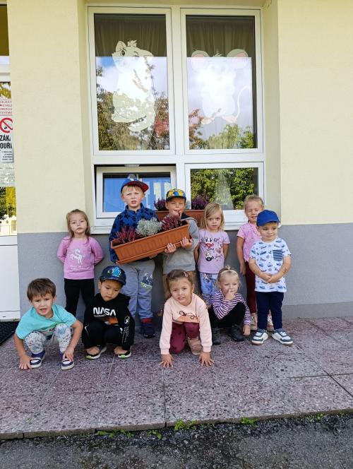 Výzdoba oken
