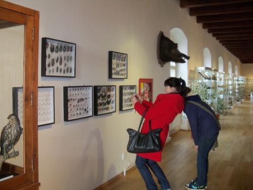 Exkurze Muzeum Stříbro