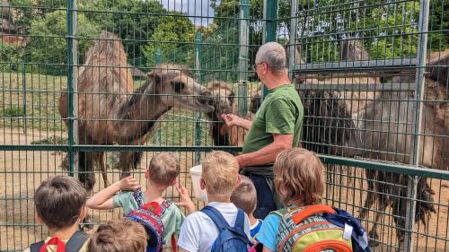 Výlet do ZOO Plzeň