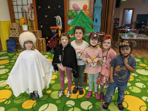 Zvířátka se ukládají k zimnímu spánku